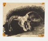 Artist: b'Courier, Jack.' | Title: bRam's skull. | Technique: b'lithograph, printed in black ink, from one stone [or plate]'