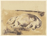 Artist: MACQUEEN, Mary | Title: Hippo | Date: 1967 | Technique: lithograph, printed in colour, from multiple plates | Copyright: Courtesy Paulette Calhoun, for the estate of Mary Macqueen
