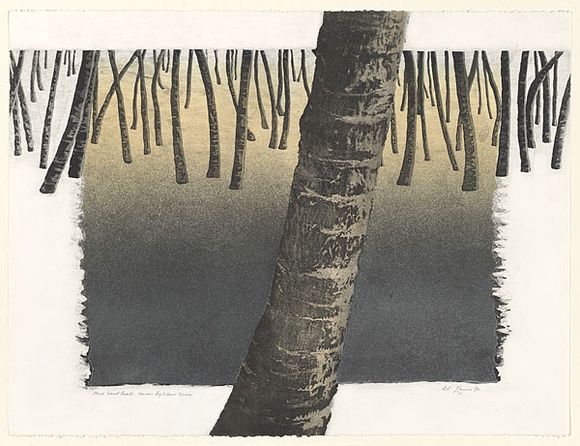 Artist: b'EWINS, Rod' | Title: b'Black Sand Beach.' | Date: 1990, January | Technique: b'spray-can aquatint, printed in black ink, from one steel plate, and cardboard relief'
