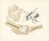 Artist: b'Dawson, Janet.' | Title: b'Honeypot, honeybun.' | Date: 1976, 8 July | Technique: b'lithograph, printed in colour, from two plates' | Copyright: b'\xc2\xa9 Janet Dawson. Licensed by VISCOPY, Australia'