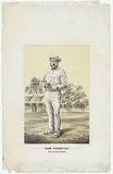 Artist: b'Woodhouse, Herbert.' | Title: b'Sam Cosstick, the veteran bowler.' | Date: c.1880 | Technique: b'lithograph, printed in colour, from two stones'