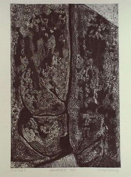 Artist: b'Duxbury, Lesley.' | Title: b'Lancefield III - cleft' | Date: 1989 | Technique: b'softground etching and aquatint, printed in black ink, from one plate'