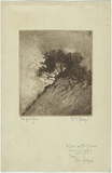 Artist: PERCY, W.S. | Title: The lone tree. | Date: c.1920 | Technique: etching and aquatint, printed in brown ink, from one plate