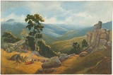 Artist: Chevalier, Nicholas. | Title: Dargo Valley, Gippsland. | Date: (1865) | Technique: lithograph, printed in colour, from multiple stones