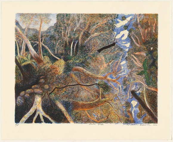 Artist: b'Robinson, William.' | Title: b'Twin Falls' | Date: 2000 | Technique: b'lithograph, printed in colour, from ten stones [or plates]'