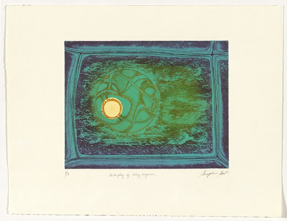 Artist: b'Martin, Seraphina.' | Title: b'Interplay of living organism' | Technique: b'etching and aquatint, printed in colour, from multiple plates'