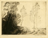 Artist: b'Finlay, Ernest.' | Title: b'(Trees).' | Date: c.1925 | Technique: b'drypoint, printed in brown ink with plate-tone, from one plate'