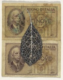 Artist: HALL, Fiona | Title: Prunus institia - Bullace (Italian currency) | Date: 2000 - 2002 | Technique: gouache | Copyright: © Fiona Hall