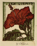 Artist: OGILVIE, Helen | Title: not titled [Hibiscus flower]. | Date: c.1944 | Technique: linocut, printed in colour, from multiple blocks
