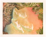 Artist: b'Robinson, William.' | Title: b'Creation landscape - Water and Land I' | Date: 1991 | Technique: b'lithographs, printed in colour, from multiple plates'