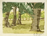 Artist: b'Grant, Nancy.' | Title: b'Park land, Melbourne' | Date: 1930s | Technique: b'linocut, printed in colour, from water-based inks'