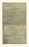 Artist: WARLAPINNI, Freda | Title: not titled | Date: 1999 | Technique: hardground-etching, printed in two colours, from one copper plate