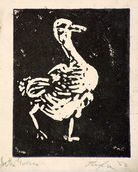 Artist: b'Taylor, John H.' | Title: b'Joe the goose' | Date: 1952 | Technique: b'linocut, printed in black ink, from one block'