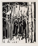 Artist: b'Grey-Smith, Guy' | Title: b'Karri forest' | Date: 1980 | Technique: b'woodcut, printed in black ink, from one block'