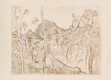 Artist: Forbes, Clem. | Title: not titled [bush landscape]. | Date: 1970s | Technique: etching, printed in brown ink, from one plate