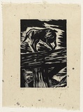 Artist: b'AMOR, Rick' | Title: b'Dog.' | Date: 1989 | Technique: b'woodcut, printed in black ink, from one block'