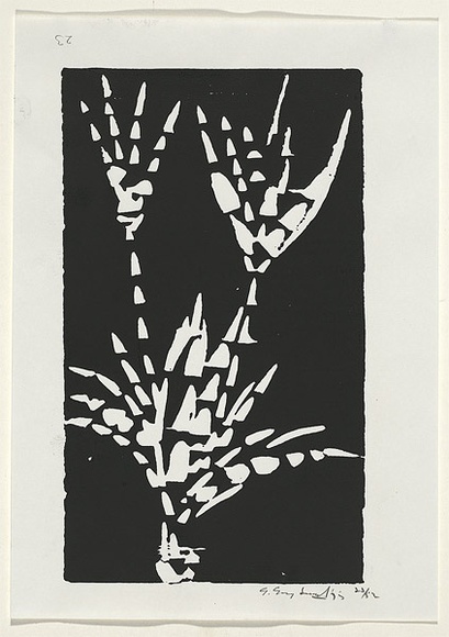 Artist: b'Grey-Smith, Guy' | Title: b'Plant form' | Date: 1975 | Technique: b'linocut, printed in black ink, from one block'