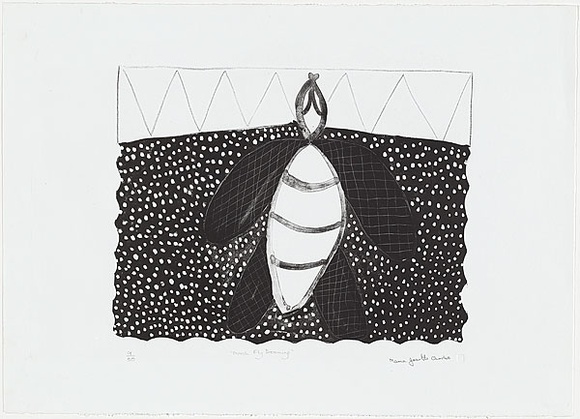 Artist: b'Orsto, Josette.' | Title: b'March fly dreaming' | Date: 1991 | Technique: b'lithograph, printed in black ink, from one plate'