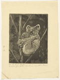 Artist: b'Morgan, Squire.' | Title: b'The bush mother.' | Date: c.1932 | Technique: b'etching and aquatint, printed in black ink, from one plate'