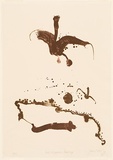 Artist: b'Olsen, John.' | Title: b'Bird and kangaroo landscape' | Date: 1979 | Technique: b'lithograph, printed in colour, from two plates' | Copyright: b'\xc2\xa9 John Olsen. Licensed by VISCOPY, Australia'