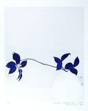 Artist: b'ROSE, David' | Title: b'Camellia - study for vase in cobalt' | Date: 1980 | Technique: b'aquatint, printed in black ink, from one plate; watercolour additions'
