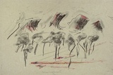Artist: Trenfield, Wells. | Title: Red Lorys in the Grampians | Date: 1983 | Technique: lithograph, printed in colour, from multiple stones, with paste and crayon