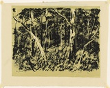 Artist: Crooke, Ray. | Title: Sherbrooke Forest. | Date: 1959 | Technique: screenprint, printed in colour, from two stencils