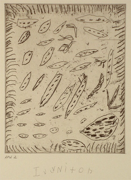 Artist: b'Janyka, Nixon Ivy.' | Title: b'Jurnta (bush onion)' | Date: 1994, October - November | Technique: b'etching, printed in black ink, from one plate'