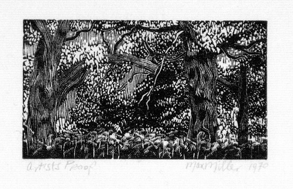 Artist: Miller, Max. | Title: Forest landscape, trees, ferns | Date: 1970 | Technique: wood-engraving, printed in black ink, from one block