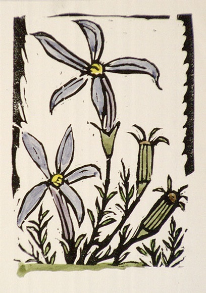 Artist: b'OGILVIE, Helen' | Title: b'Greeting card: Orchids' | Date: 1981 | Technique: b'linocut, printed in black ink, from one block; hand-coloured'