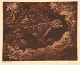 Artist: Pyke, Guelda | Title: Poisson III | Date: 1982 | Technique: etching and aquatint, printed in sepia ink, from one plate