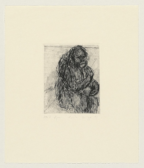 Artist: b'Bragge, Anita.' | Title: b'Ape' | Date: 1997, June | Technique: b'etching and drypoint, printed in colour, from two plates'