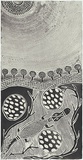 Artist: b'Gurruwiwi, Djalu.' | Title: b'Gapu, tubig, air, water II' | Date: 1999 | Technique: b'etching and aquatint, printed in black in, from one plate'