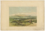 Artist: b'PROUT, John Skinner' | Title: b'Ben Lomond from Fingal VDL' | Date: 1844 | Technique: b'lithograph, printed in black ink, from one stone; hand-coloured'