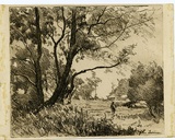 Artist: Farmer, John. | Title: Trees on a bank. | Date: c.1960 | Technique: softground-etching, printed in black ink, from one plate