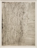 Artist: b'Kantilla, Kitty. (Kutuwalumi Purawarrumpatu).' | Title: b'Untitled' | Date: 1999, May - June | Technique: b'hardground-etching, printed in black ink from one plate' | Copyright: b'\xc2\xa9 Kitty Kantilla and Jilamara Arts + Craft'