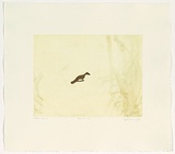 Artist: Harris, Brent. | Title: Drift I | Date: 1998 | Technique: etching, printed in colour, from two copper plates