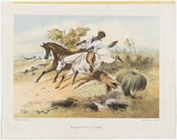 Artist: b'GILL, S.T.' | Title: b'Squatters tiger' | Date: 1865 | Technique: b'lithograph, printed in colour, from seven stones'