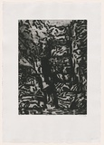 Artist: b'MAKIN, Jeffrey' | Title: b'Bricklyn Falls' | Date: 2001 | Technique: b'etching, printed in black ink, from one plate'