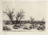 Artist: b'Warner, Alfred Edward.' | Title: b'Salt Lakes, Victoria' | Technique: b'etching, printed in black ink, from one plate'