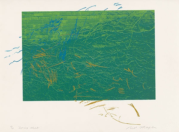 Artist: b'MEYER, Bill' | Title: b'Spring wall.' | Date: 1981 | Technique: b'screenprint, printed in four colours, from three screens (charcoal on acetate and duo-tone photo indirect)' | Copyright: b'\xc2\xa9 Bill Meyer'