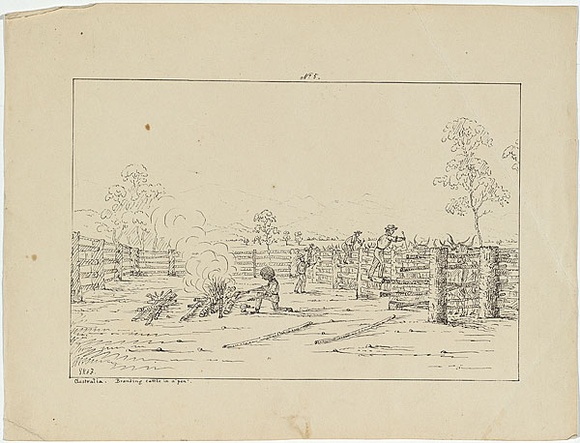 Artist: Fairholme, George Knight Erskine. | Title: Australia. Branding cattle in a pen. | Date: c.1853 | Technique: lithograph, printed in black ink, from one stone Artist: Fairholme, George Knight Erskine. | Title: Australia. Branding cattle in a pen. | Date: c.1853 | Technique: lithograph, printed in black ink, from one stone