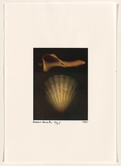 Title: b'Rococo Recollections [15]' | Date: 1995 | Technique: b'electrostatic print, printed from a Canon colour laser copier, from collaged elements'