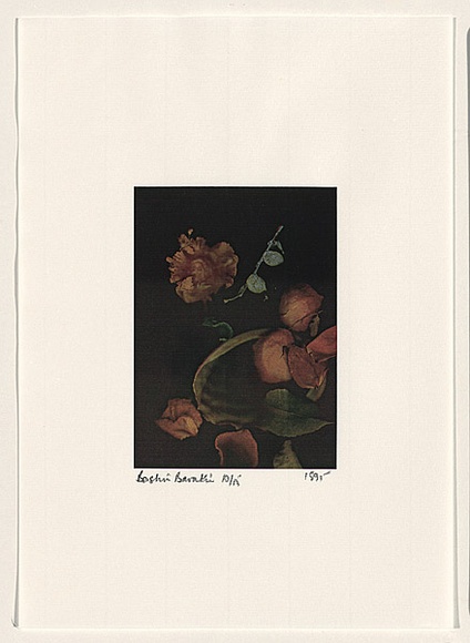 Title: b'Rococo Recollections [5]' | Date: 1995 | Technique: b'electrostatic print, printed from a Canon colour laser copier, from collaged elements'