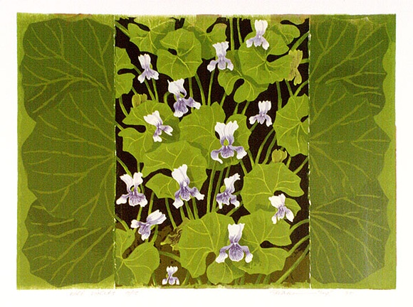 Artist: b'letcher, William.' | Title: b'Wild Violets.' | Date: 1980 | Technique: b'screenprint, printed in colour, from multiple stencils' | Copyright: b'With the permission of The William Fletcher Trust which provides assistance to young artists.'