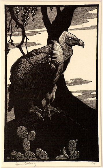 Artist: b'LINDSAY, Lionel' | Title: b'The Indian vulture' | Date: 1933 | Technique: b'wood-engraving, printed in black ink, from one block' | Copyright: b'Courtesy of the National Library of Australia'