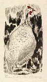 Artist: MACQUEEN, Mary | Title: Guinea fowl II | Date: 1968 | Technique: lithograph, printed in colour, from multiple plates | Copyright: Courtesy Paulette Calhoun, for the estate of Mary Macqueen