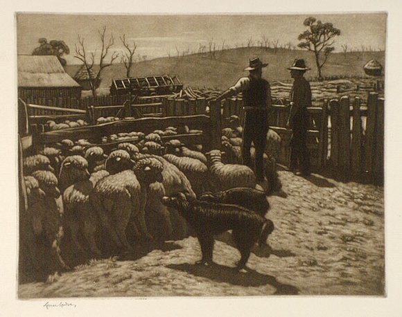 Artist: b'LINDSAY, Lionel' | Title: b'Drafting sheep' | Date: 1947 | Technique: b'etching and mezzotint, printed in brown ink, from one plate' | Copyright: b'Courtesy of the National Library of Australia'