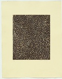 Artist: Petyarre, Gloria. | Title: Not titled [leaves 2] | Date: 2005 | Technique: etching, printed in colour with plate-tone, from one plate | Copyright: © Gloria Petyarre, Licensed by VISCOPY, Australia