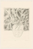 Title: b'Hakea' | Date: 1983 | Technique: b'drypoint, printed in black ink, from one perspex plate'